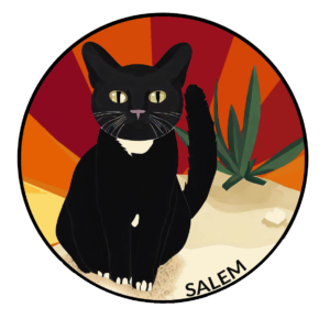 Tuxedo cat named Salem standing on sand next to agave