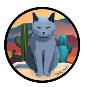 Smokey the grey cat standing in front of cactus