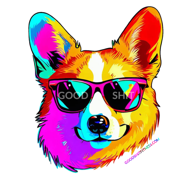 colorful corgi face wearing sunglasses that say good shit with good shit fitness dot com beneath